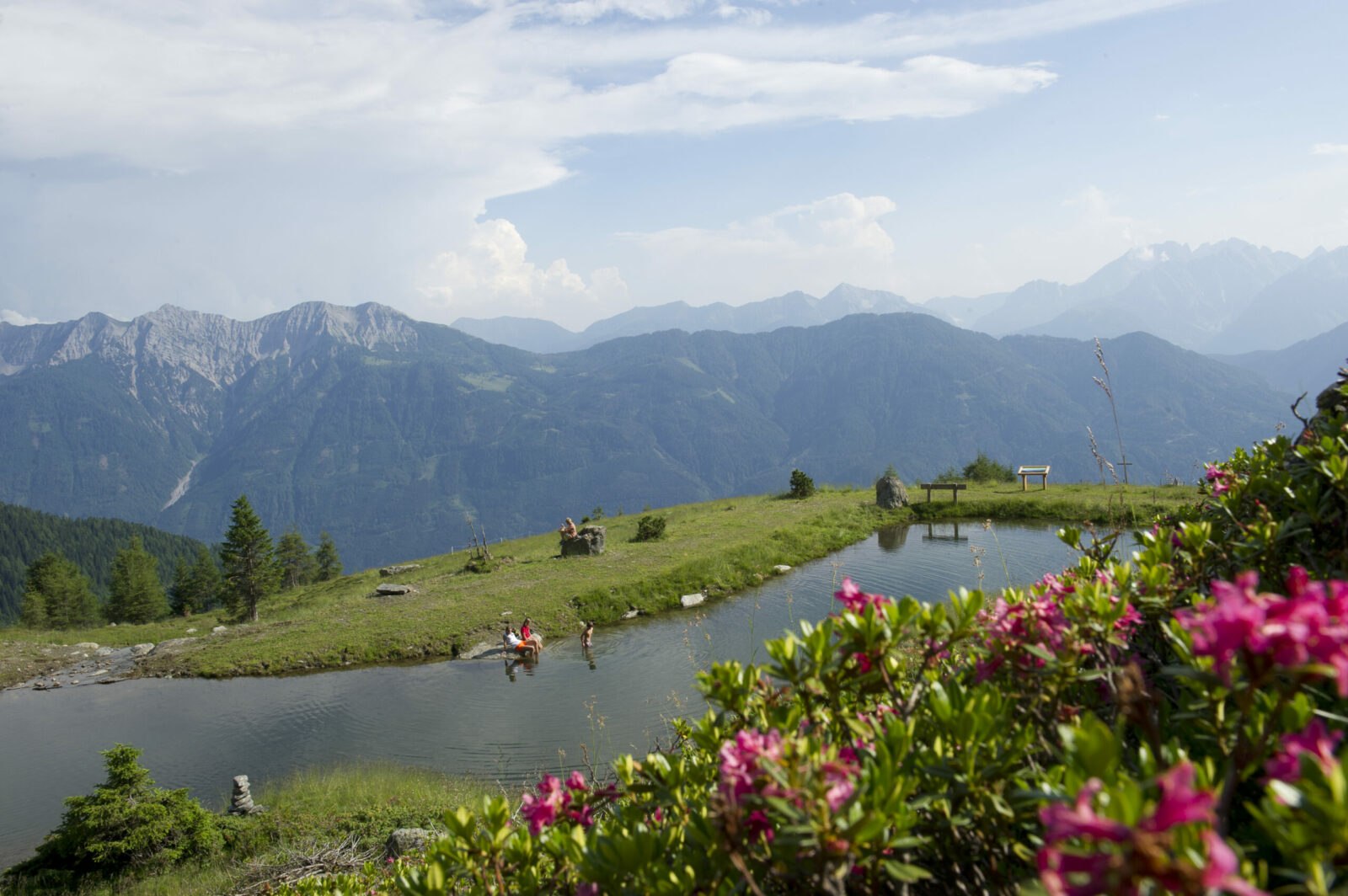 Ausflugsstraße "Leppner Alm"